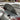 Saw Blade
